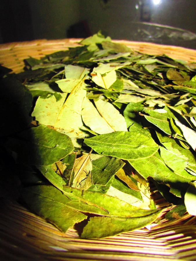 The Grasshopper Hostels Av Alta Cusco Ngoại thất bức ảnh